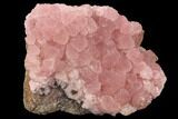 Cobaltoan Calcite Crystal Cluster - Bou Azzer, Morocco #90310-1